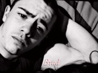 Brad