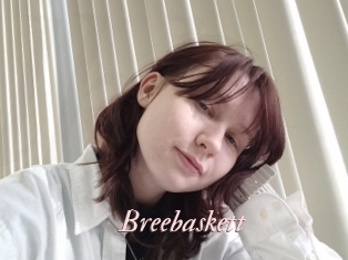 Breebaskett