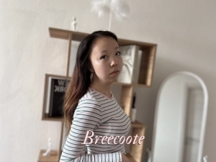 Breecoote