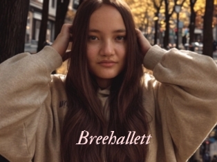 Breehallett