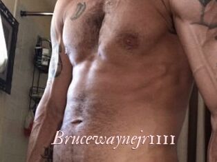 Brucewaynejr1111