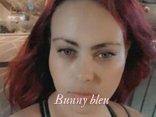 Bunny_bleu