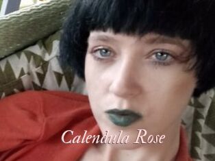 Calendula_Rose