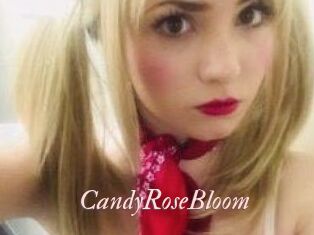 CandyRoseBloom