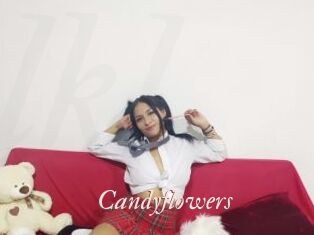 Candyflowers