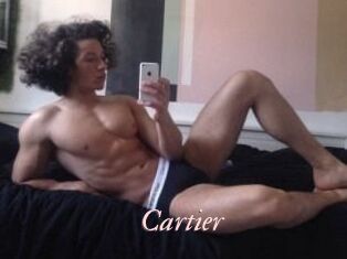 Cartier_ Leukelol
