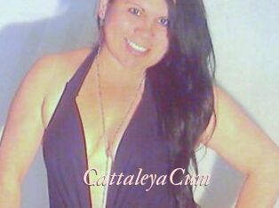 CattaleyaCum