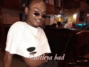 Cattleya_bad
