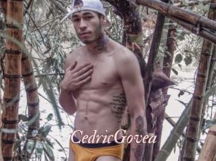 CedricGovea