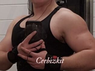 Ceebizkit