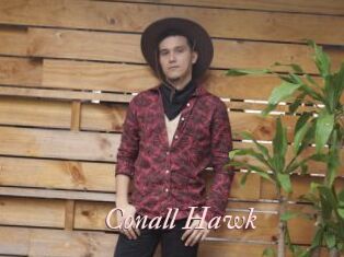 Conall_Hawk