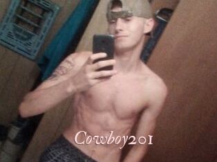 Cowboy201
