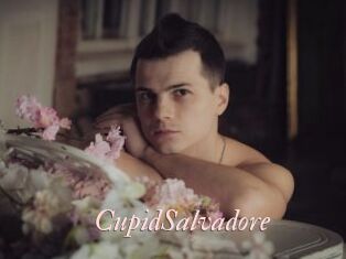 CupidSalvadore