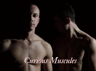 Curious_Muscules