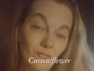 Curiousflower