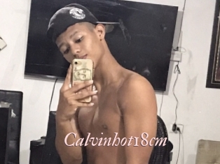 Calvinhot18cm