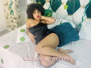 Cataleyaguerrero