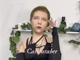 Catefarabee