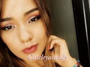 cattleyacandy Leukelol