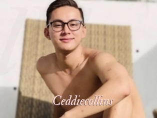 Ceddiecollins