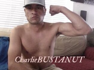 CharlieBUSTANUT