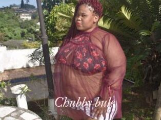 Chubby_bule