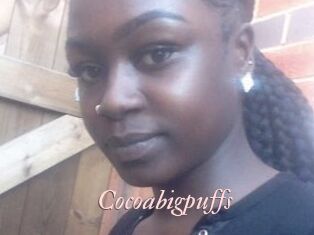Cocoabigpuffs