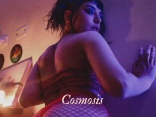 Cosmosis