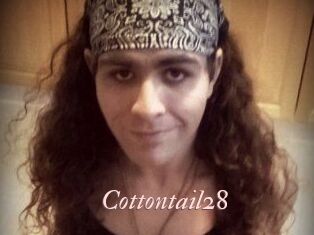 Cottontail28