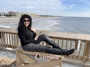Cougarv