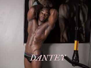 DANTE_Y