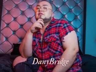 DanyBridge