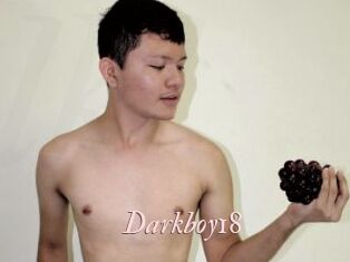 Darkboy18