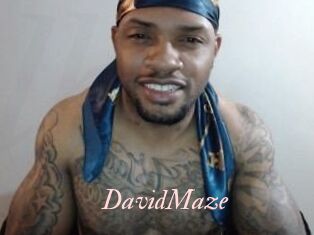 David_Maze