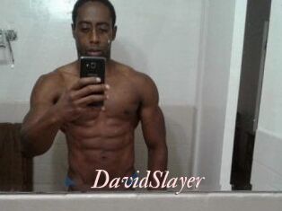 David_Slayer Leukelol