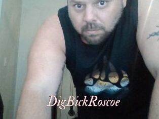 DigBickRoscoe