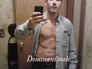Dominantmale