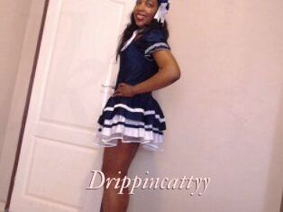 Drippincattyy