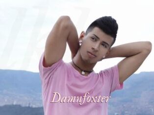Damnfoxter