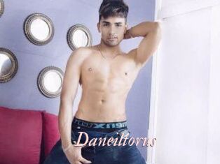 Daneil_torus