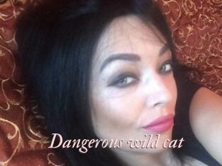 dangerous_wild_cat Leukelol