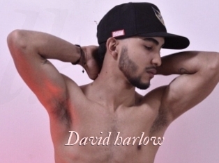 David_harlow