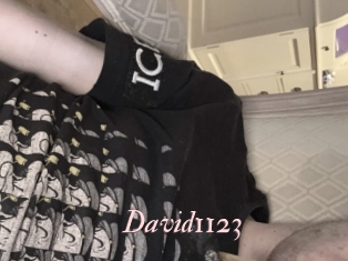 David1123