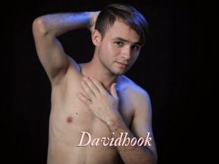 Davidhook