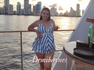 Demibarnes