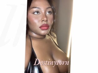 destinytorn Leukelol