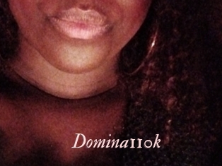 Domina110k
