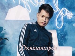 Dominantapolo