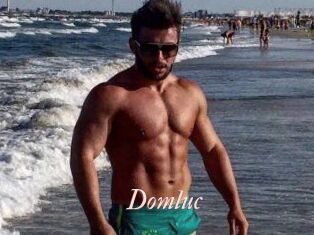 Domluc
