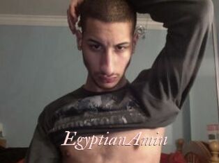 EgyptianAmin